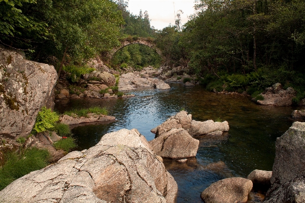 Rock waterfall wilderness river Photo