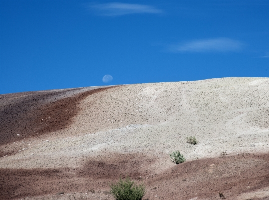 Landscape sea sand horizon Photo