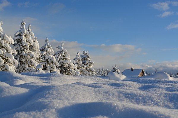 Photo Paysage nature montagne neige