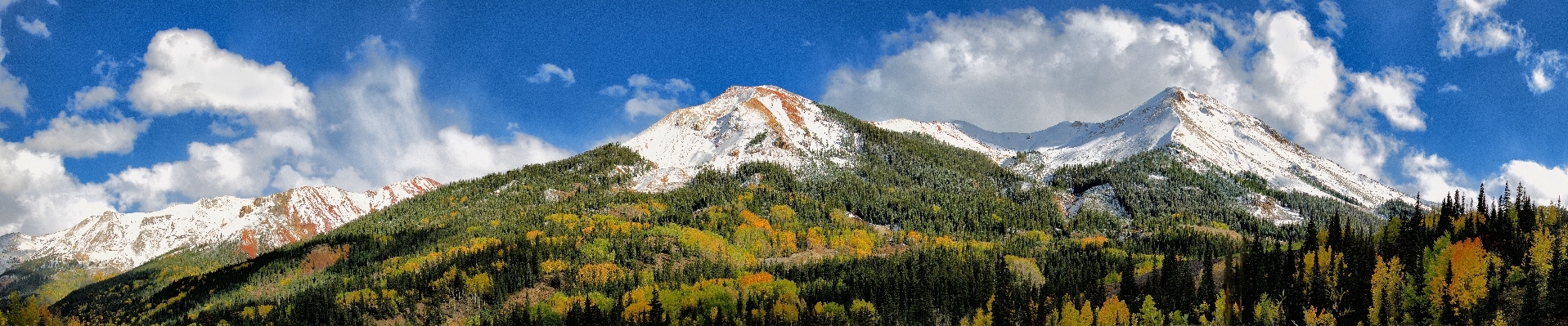 Landschaft baum natur wildnis
 Foto