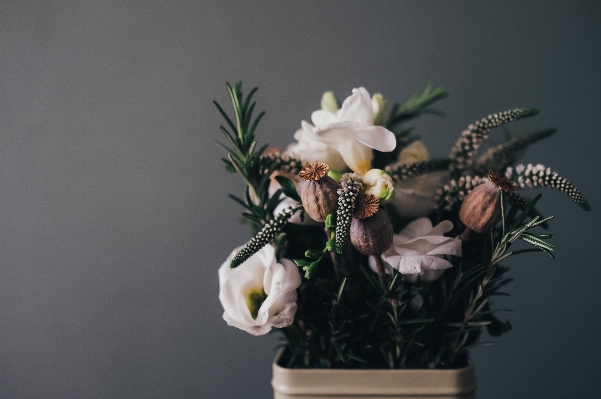 Plant flower floral vase Photo