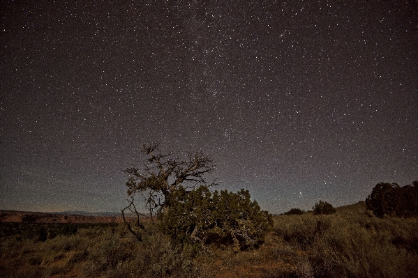 Sky night star milky way Photo