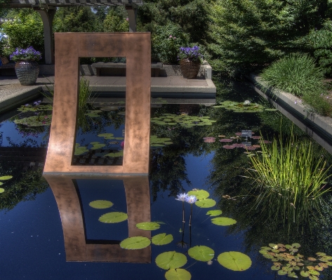 Pond swimming pool backyard garden Photo