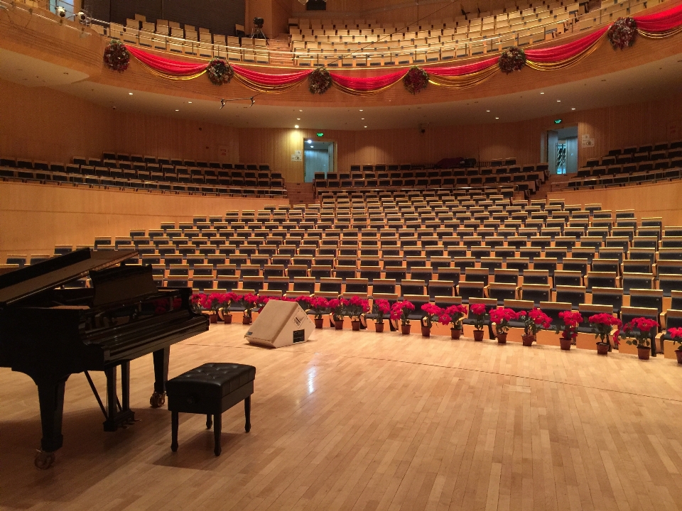 Auditorium
 publikum klavier konzerthalle
