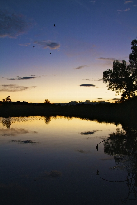 Paysage mer nature horizon