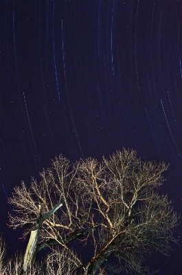 Foto Cielo notte stella atmosfera