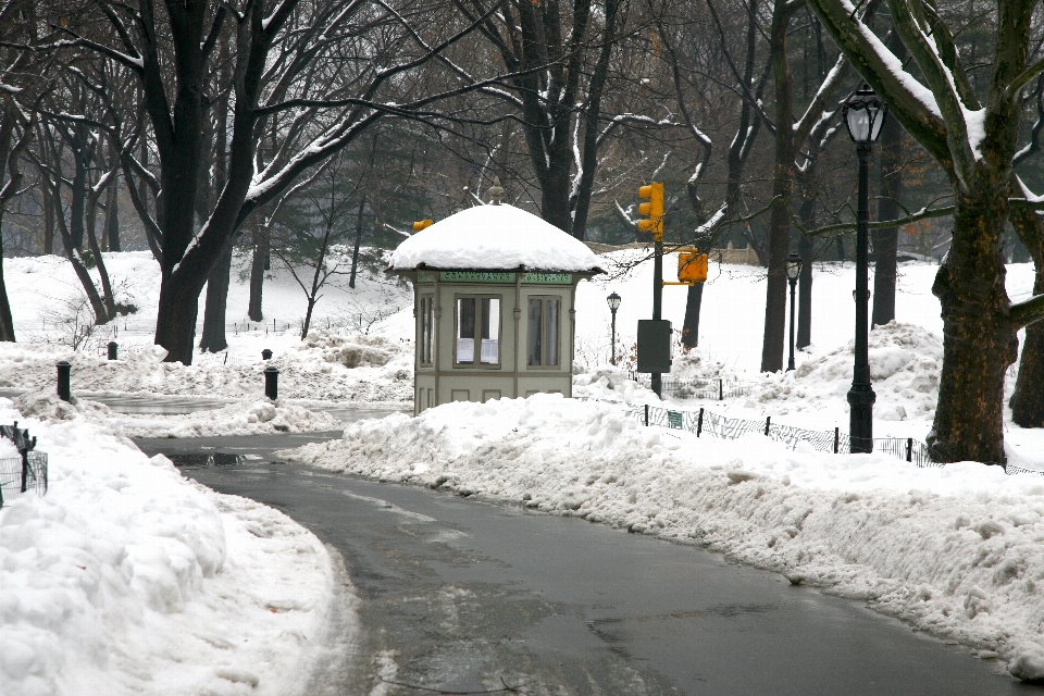 Nieve invierno hielo nueva york
