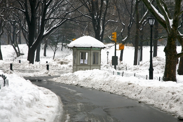 Snow winter ice nyc Photo