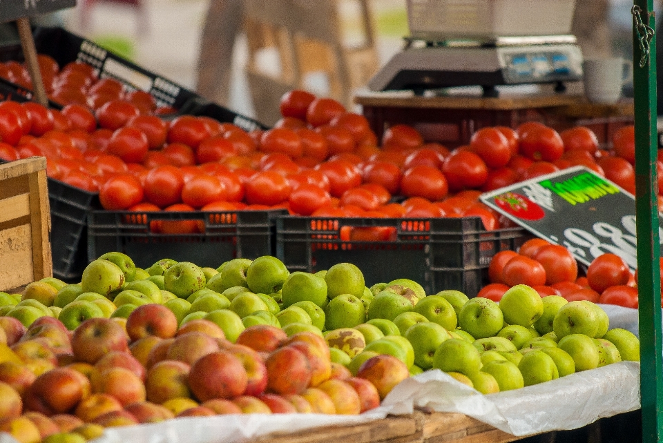 Apple plantar fruta cidade