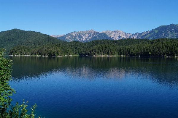 風景 水 自然 荒野
 写真