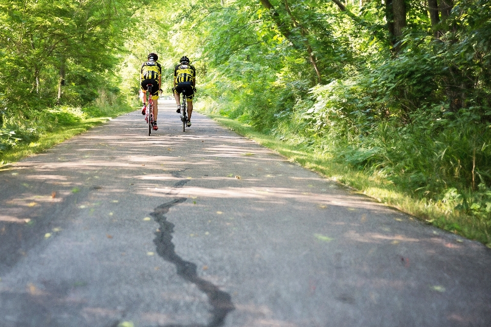 Natur menschen straße pfad