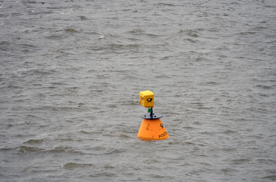 Mer eau oiseau poste
