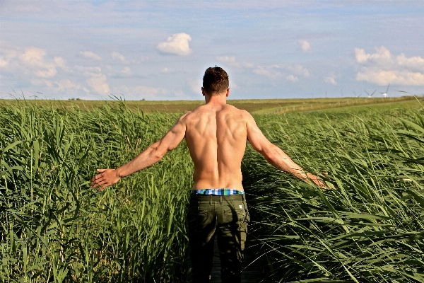 Man landscape nature grass Photo