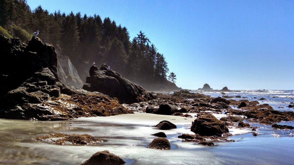 Beach landscape sea coast