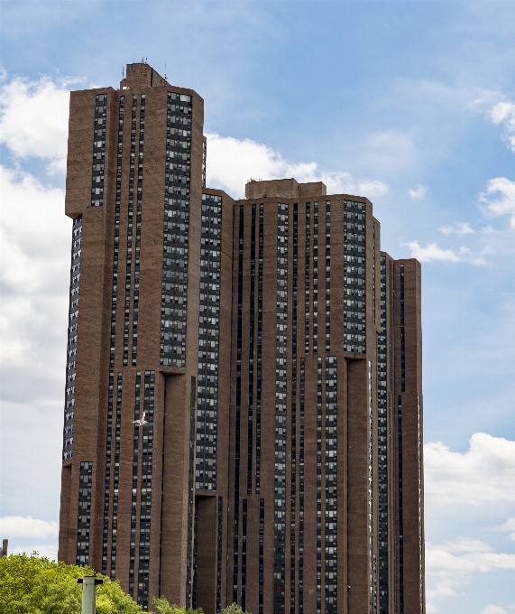 建築 空 建物 街