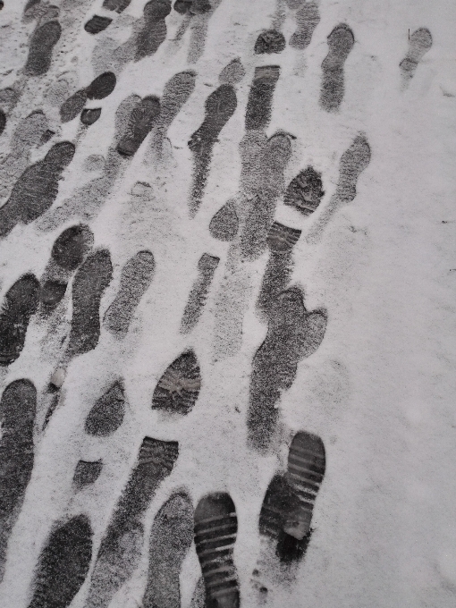 Neve preto e branco
 branco parede