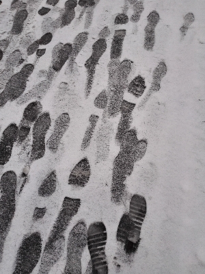 Schnee schwarz und weiß
 weiss wand Foto