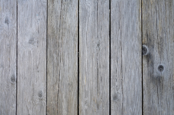 Nature structure wood grain Photo