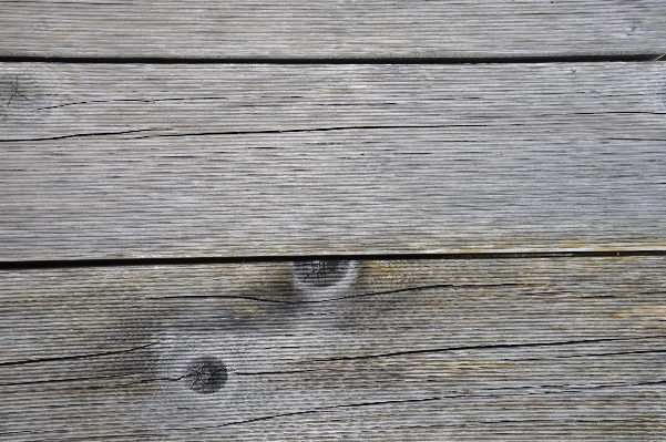 Table nature structure wood Photo