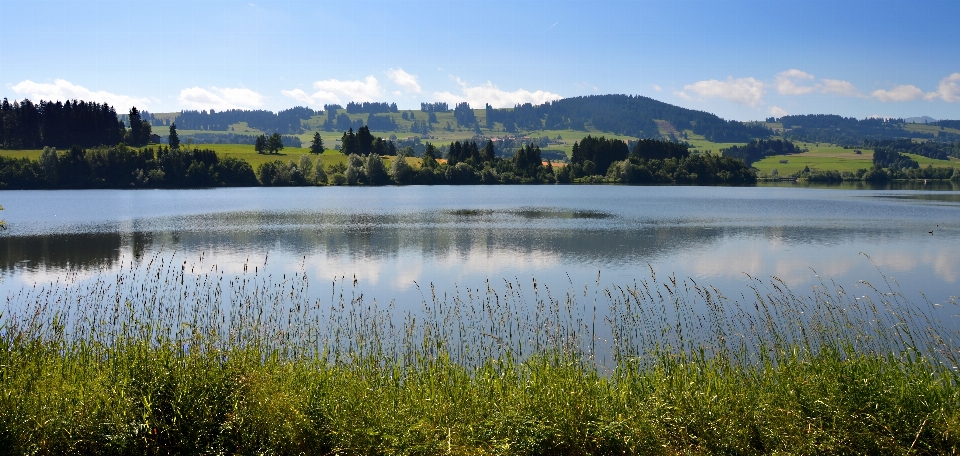 Paesaggio acqua natura erba