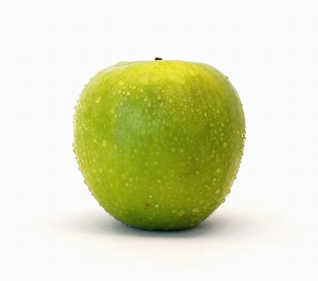 Apple plant fruit wet Photo