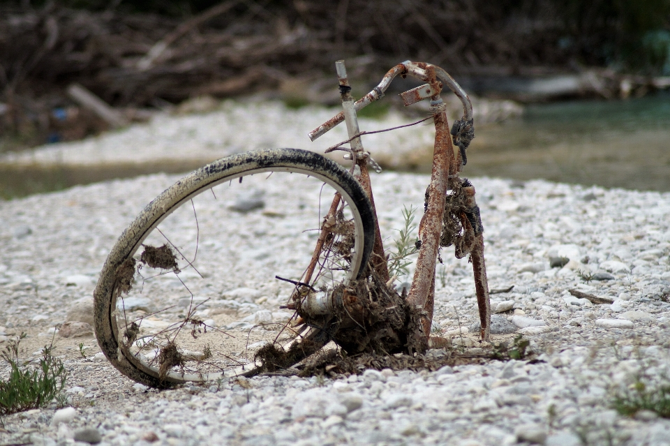 Wood wheel bicycle bike