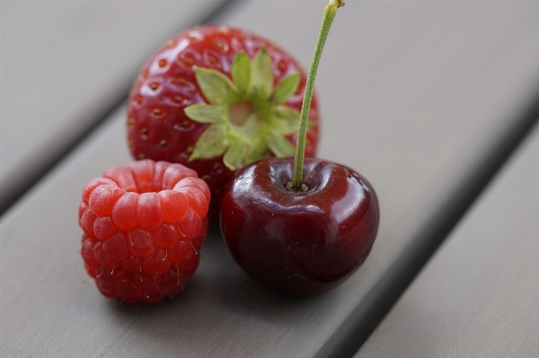 Plant raspberry fruit berry Photo