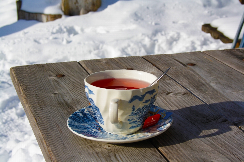 Table nature snow cold