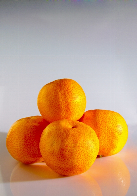 Usine fruit orange nourriture