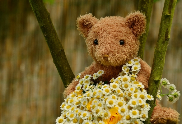 Flower love bouquet romance Photo