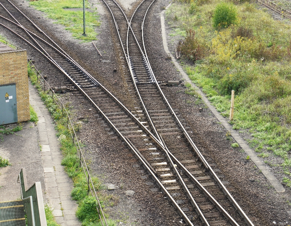 Zweig schiene eisenbahn zug