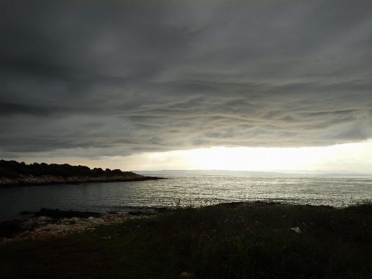 Beach sea coast nature Photo