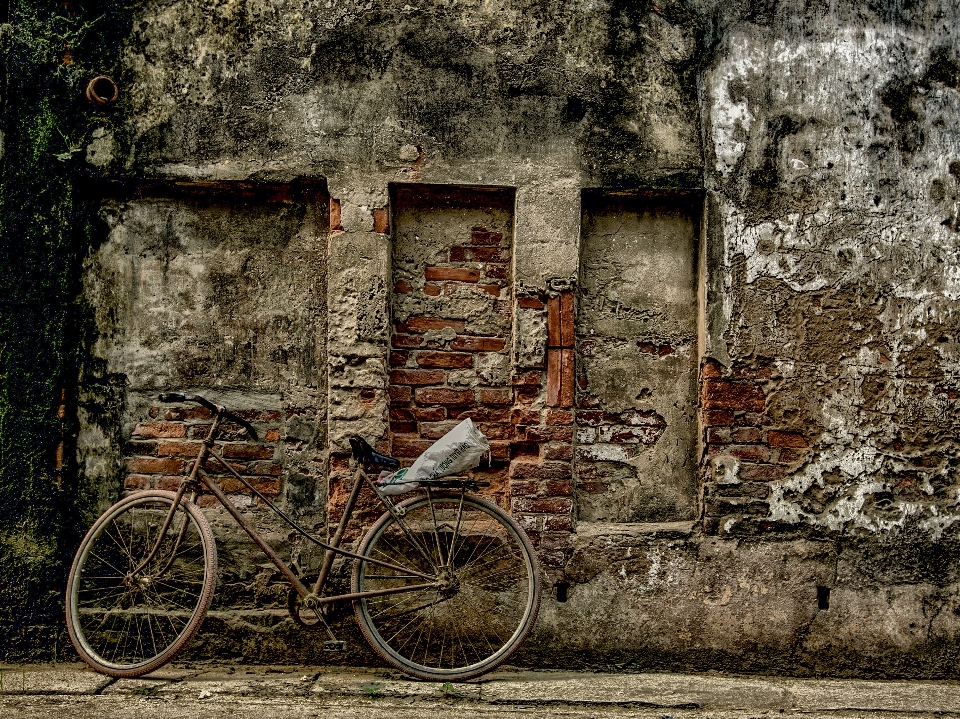 Legna strada campagna bicicletta