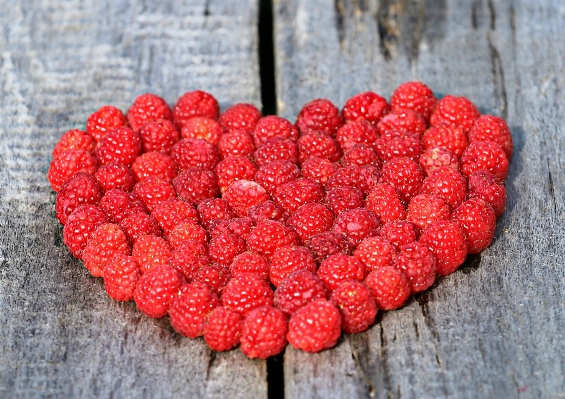 Plant board raspberry fruit Photo