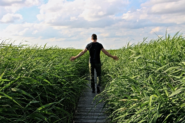 Man landscape nature grass Photo