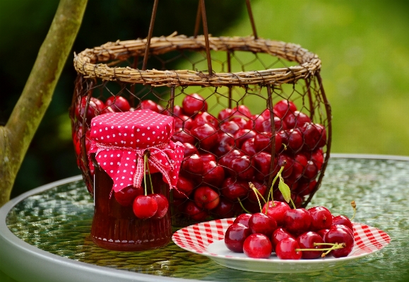 Plant fruit berry flower Photo