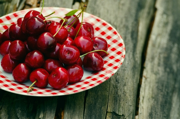 Plant fruit berry flower Photo