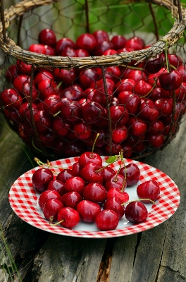 Photo Usine fruit baie été