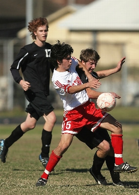 Grass sport field game Photo