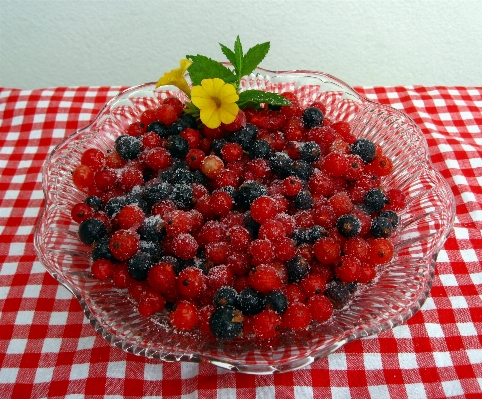 Plant raspberry fruit berry Photo