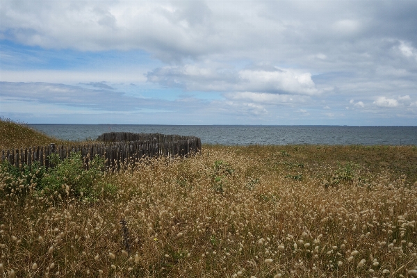 Landscape sea coast nature Photo