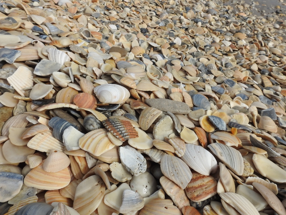 Strand küste sand rock