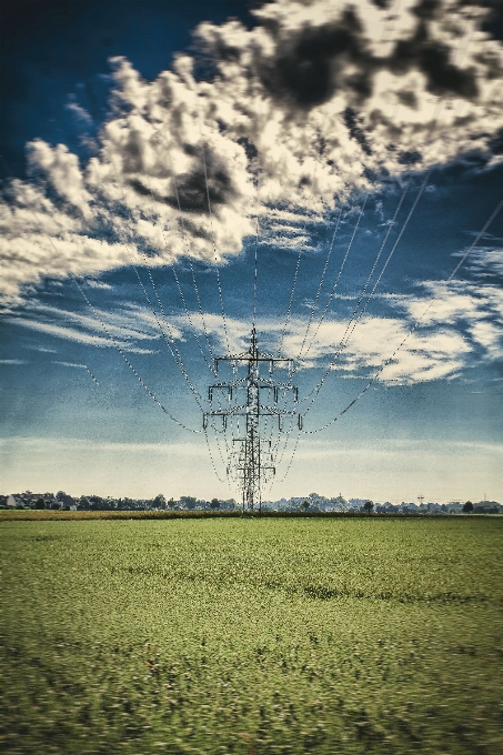 景观 自然 草 地平线