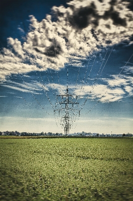 Landscape nature grass horizon Photo