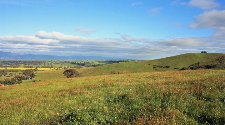 Landschaft natur gras horizont Foto