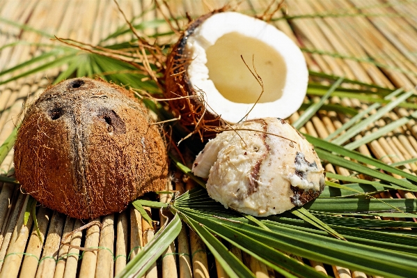 食べ物 生産 茶色 ナット 写真