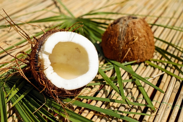 食べ物 ハーブ 生産 茶色 写真