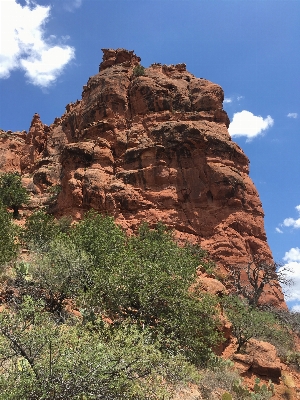 Landscape tree nature rock Photo