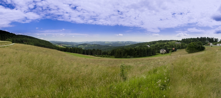 Landscape nature path grass Photo