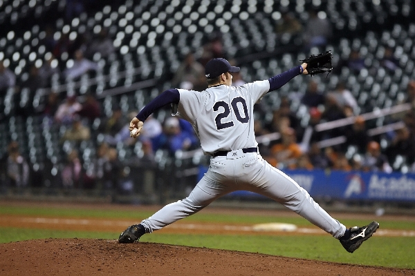 野球 グローブ スポーツ 分野 写真